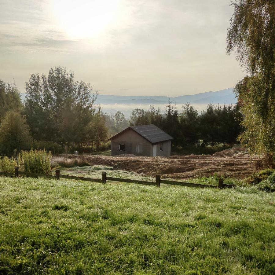 Domek Na Wzgorzu Wojcieszyce Eksteriør bilde